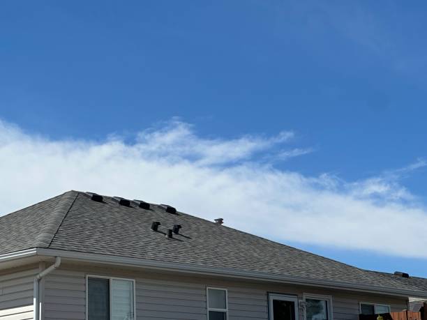 Best Roof Ventilation Installation  in Palm City, FL